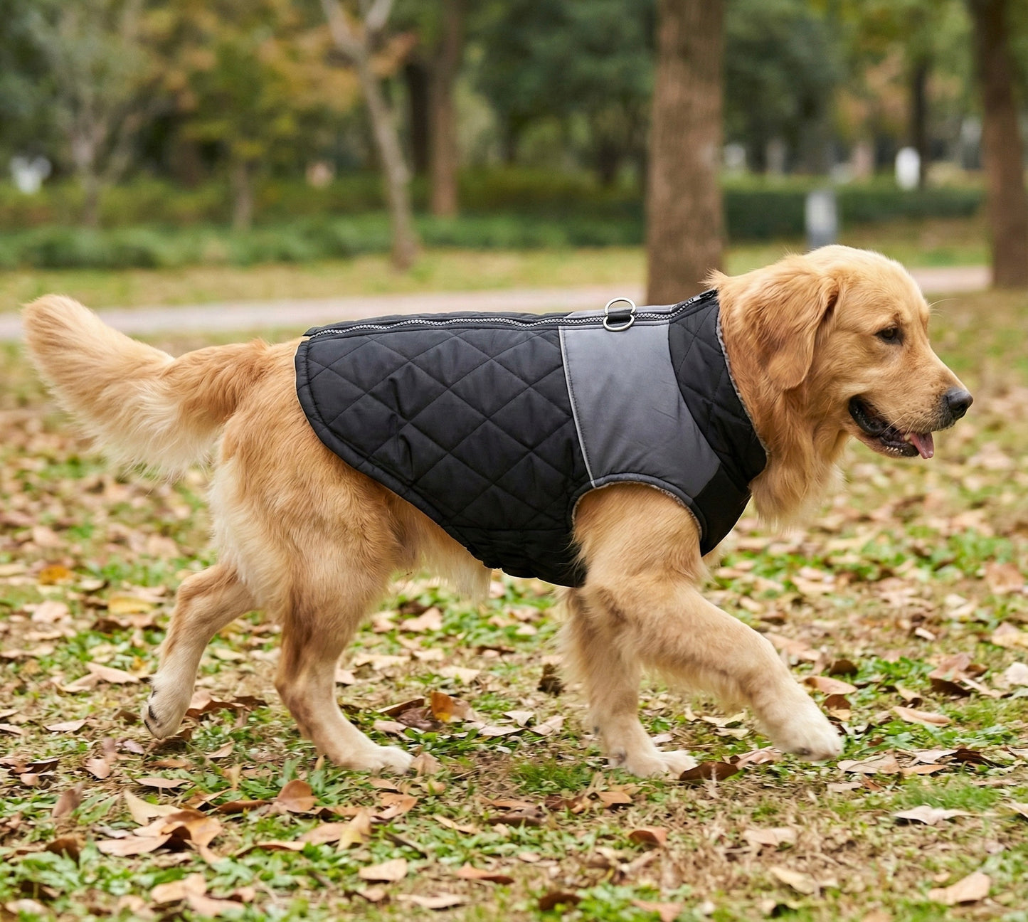 FrostGuard Hundejacke