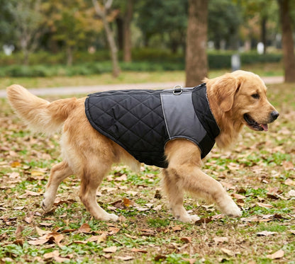FrostGuard Hundejacke