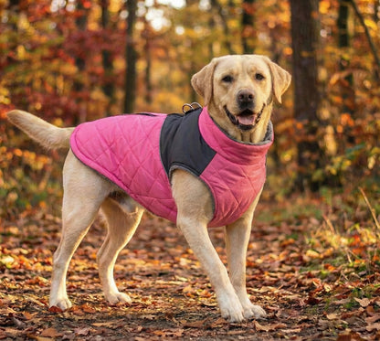 FrostGuard Hundejacke