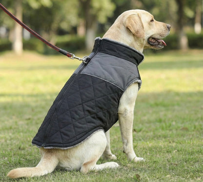 FrostGuard Hundejacke