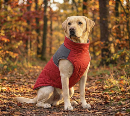 FrostGuard Hundejacke